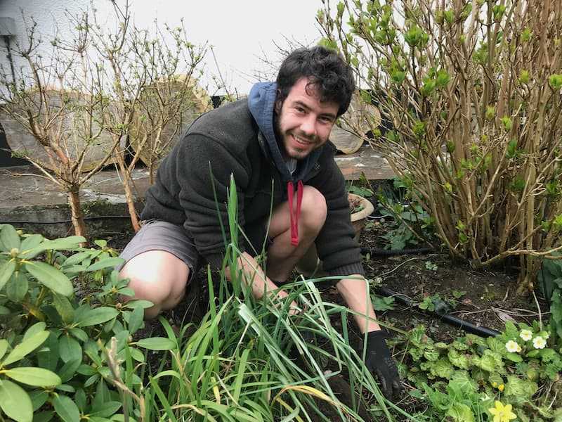 Gardener weeding a flower bed